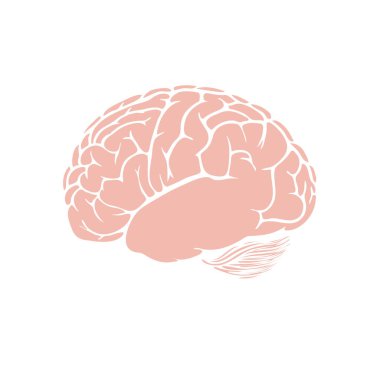 beyin ikonu vektör illüstrasyonu