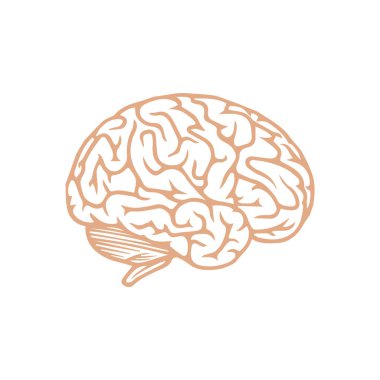 beyin ikonu vektör illüstrasyonu