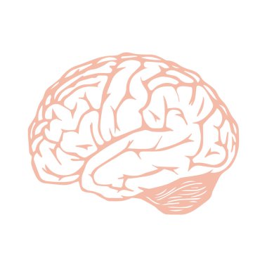 Minimalist vektör illüstrasyonu, beyin simgesi