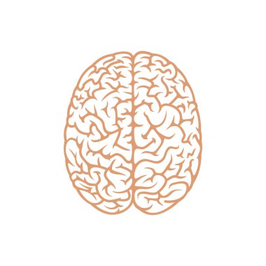 beyin ikonu vektör illüstrasyonu