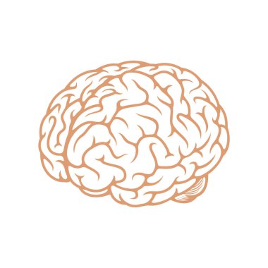 beyin ikonu vektör illüstrasyonu
