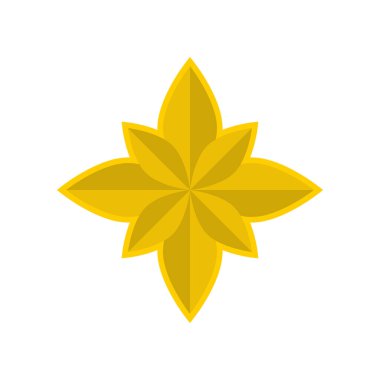 yıldız simgesinin renk vektör illüstrasyonu