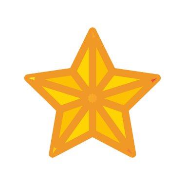 yıldız simgesinin renk vektör illüstrasyonu
