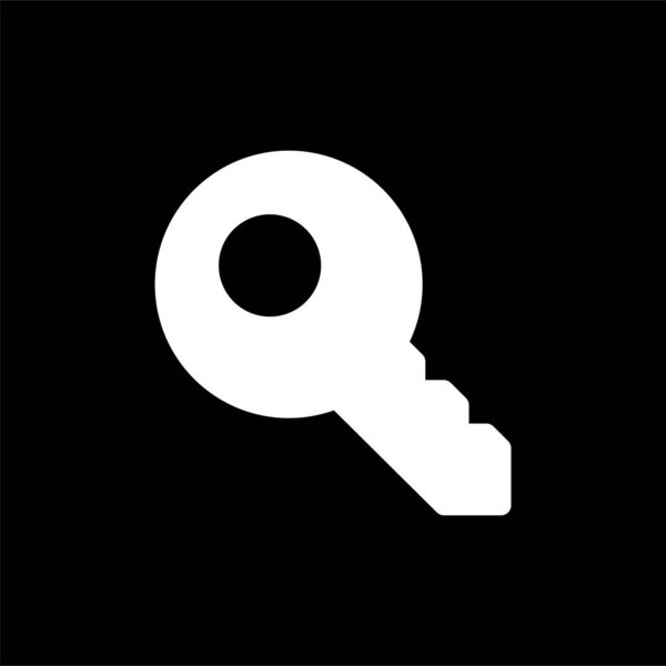 key icon illustration, vector sign symbol