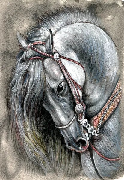 Kopf eines Pferdes. — Stockfoto