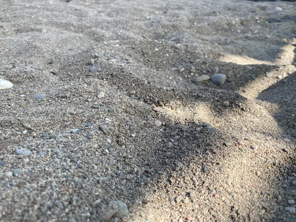 Fond Sable Avec Petites Coquilles Vue Sur Plage Sable Fin — Photo