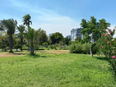 Yeşil bitkileri, tropikal ağaçları ve çalıları olan yeni ve güzel bir modern park. Şehirde dinlenme yeri.