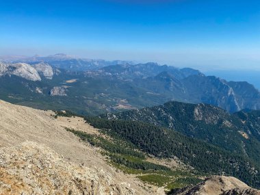 Havadan bakıldığında, yemyeşil ormanlar dünyaya oksijen üreten ağaçlar bakımından zengindir..