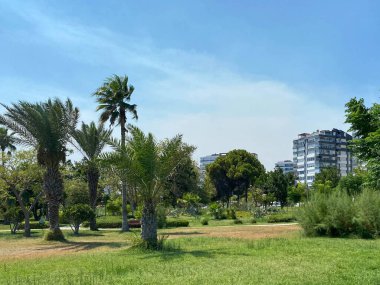 Ağaçlı yeşil çitleri olan ve sabah güneşinde yürüyüş yolları olan güzel bir bahçe..