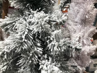 Soğuk çam konileri asılı Evergreen dalları düşen kar ile gelen / Noel dekorasyon konsepti.