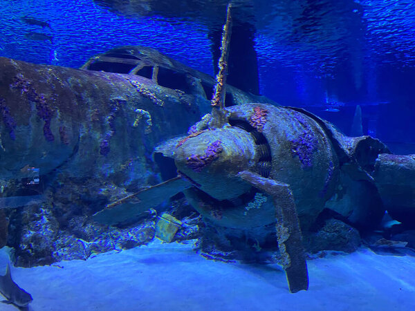 Sunken plane under water in Antalya aquarium of Turkey.