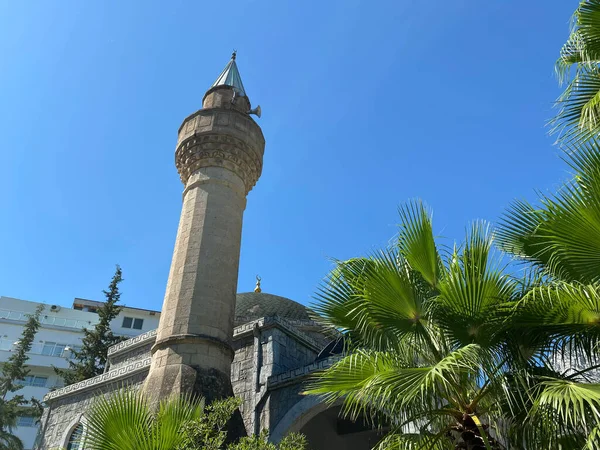 Masjid Dan Pohon Palem Terhadap Langit Biru Berawan — Stok Foto