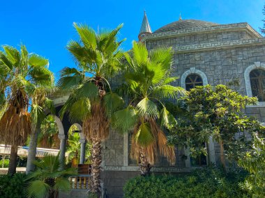 İstanbul 'da minaresi ve palmiye ağaçları olan cami..
