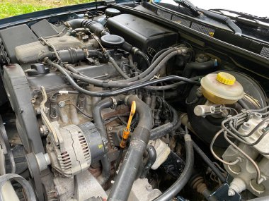 Arabada bir kestane ağacı tarafından daha detaylı bir şekilde ısırılan kablolar lambda sondası. Motor bölmesinde kemirme izleri ve kir var..