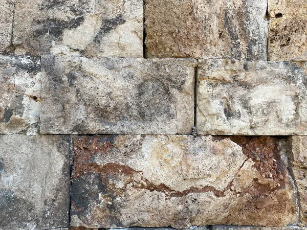 Muro Pietra Pietra Naturale Conchiglia — Foto Stock
