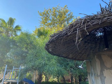 Plaj için saman şemsiyesi. Aşağıdan görüntüyü kapat.