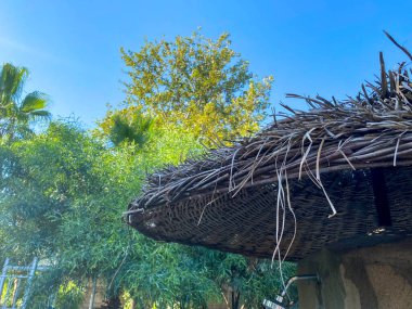 Thatched straw roof. Beach umbrella close up view.