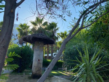 Marine background. Coastline or beach, equipped for recreation. Umbrella made of straw. Abstract background. Selective focus. Close-up, side view, copy space.