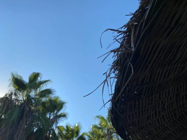 Low angle view of thatched roof parasol against clear sky.