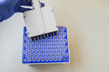 Genç kadın PCR mikrotüplerini şeker kutusuyla dolduruyor..