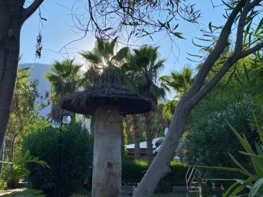 Egzotik tatil beldesinde kumlu denizde (okyanus) saman şemsiyeler. Yaz manzarası.