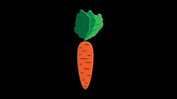 Морковь Черном Фоне Векторная Иллюстрация Яркая Оранжевая Длинная Морковь Пышным — стоковый вектор