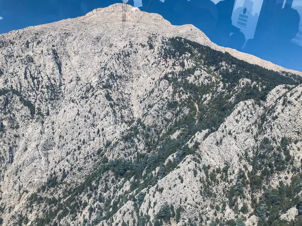 天然の岩 暖かい国の植物と高い山 山の中で休暇 穏やかで測定された旅 — ストック写真