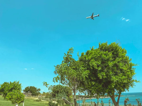 飛行機は空を飛ぶ 空の旅 飛行機は観光客を海に運んでいる 海辺のリゾート 飛行機は空を飛ぶ 近くの大きな緑の木 — ストック写真