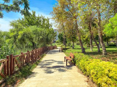 Büyük yeşil ağaçları olan bir park. Tropik yeşil orman. Kalabalık bir yerde yüksek bitkiler. Parkta, insanları gölgede dinlendirmek için ahşap bir bank..