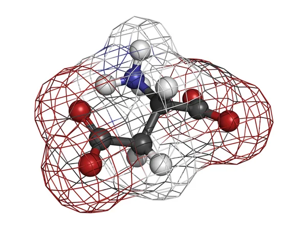 Aspartic acid (Asp, D, aspartate)amino acid, molecular model.