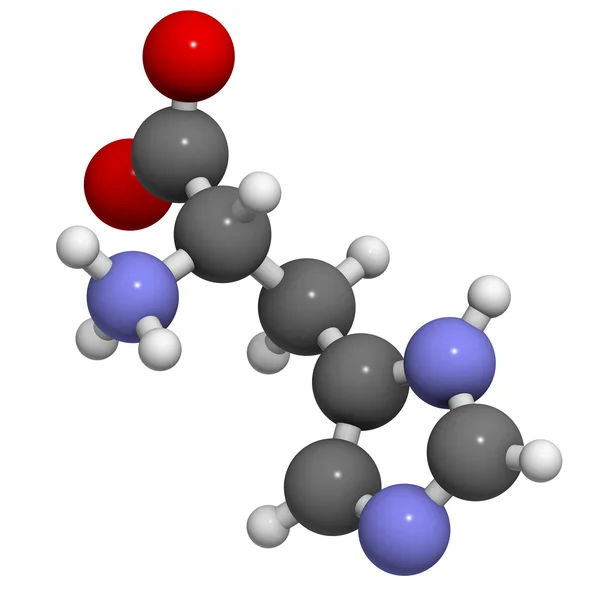 Histidine (His, H) amino acid, molecular model.