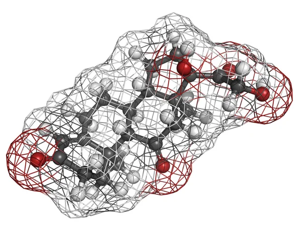 cortisone stress hormone, molecular model