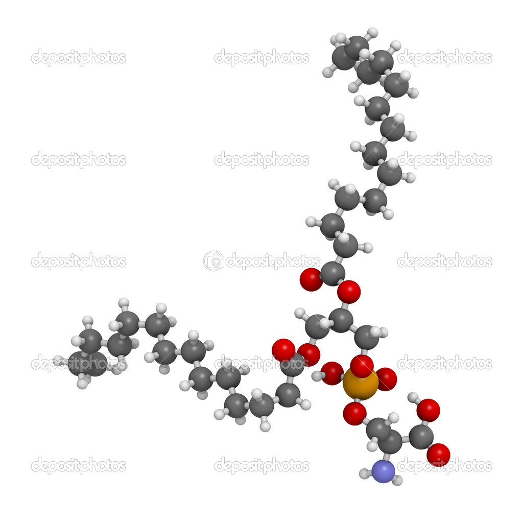 Phosphatidylserine (PS) cell membrane building block
