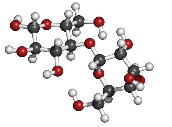 Maltose (maltobiose, malt sugar), molecular model