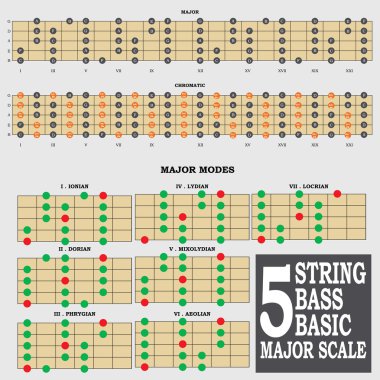 5 string bass basic major scale for bass player teacher and student clipart