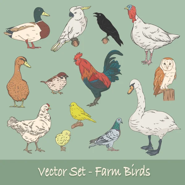 Granja aves vector conjunto — Vector de stock