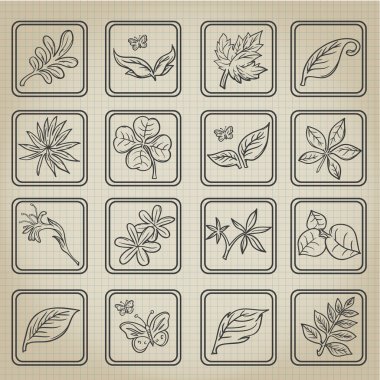 doğal Icon set yapraklar