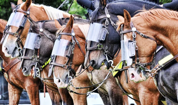 Gladiadores modernos - oficiales de policía en equipo antidisturbios responden a la perturbación civil — Foto de Stock