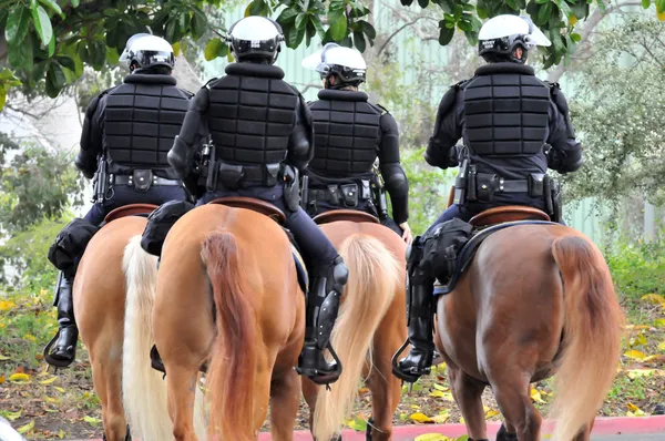 Paardensport politie — Stockfoto