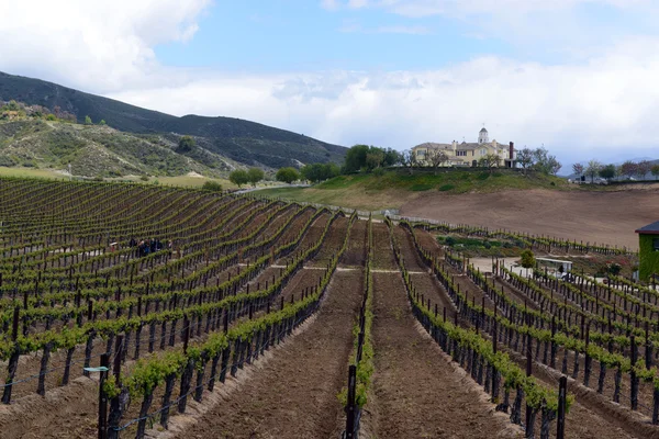 Vingårdarna i temecula i north county san diego — Stockfoto