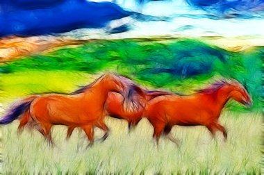 Amerikan vahşi mustang atlar