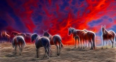 vahşi Amerikan Mustang