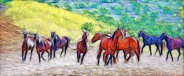 Amerikan vahşi mustang atlar