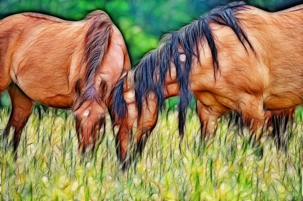 Pasoucí se koně — Stock fotografie