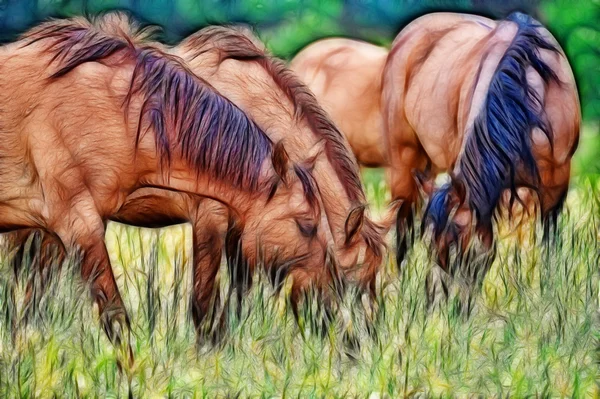 Grazende paarden — Stockfoto