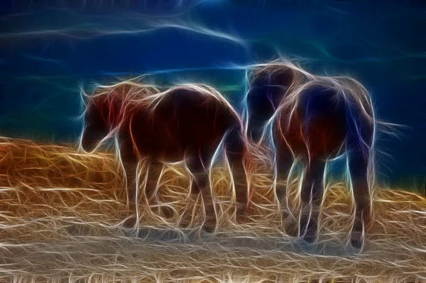 Spirit of the wild mustang — Stock Photo, Image