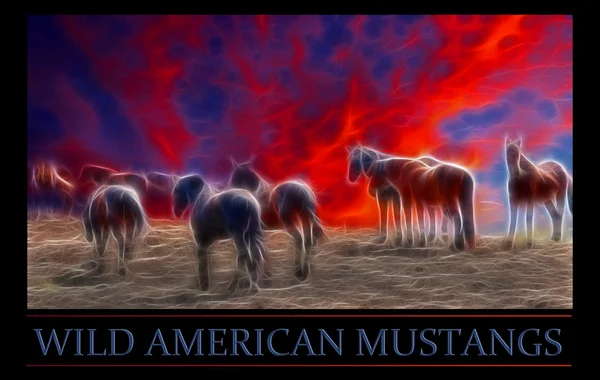 Vahşi Amerikan Mustang — Stok fotoğraf