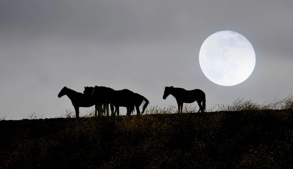 Cruzando la línea de la cresta — Foto de Stock