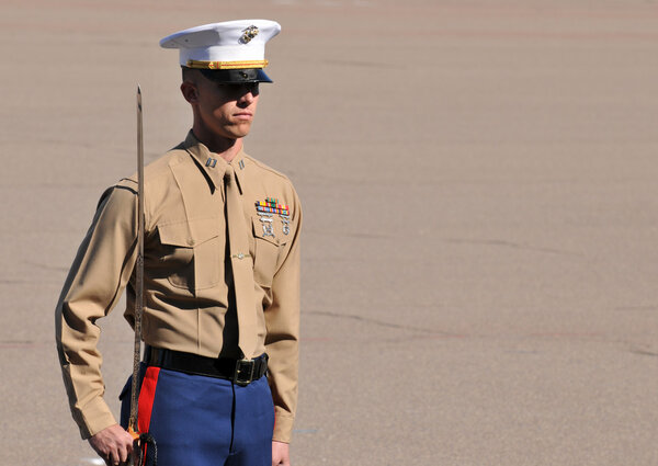 United States Marine Corps Officer Standing At Attention