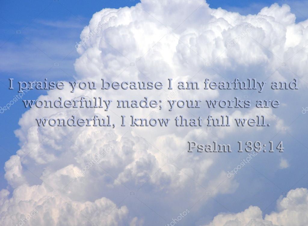 Psalm 139:14